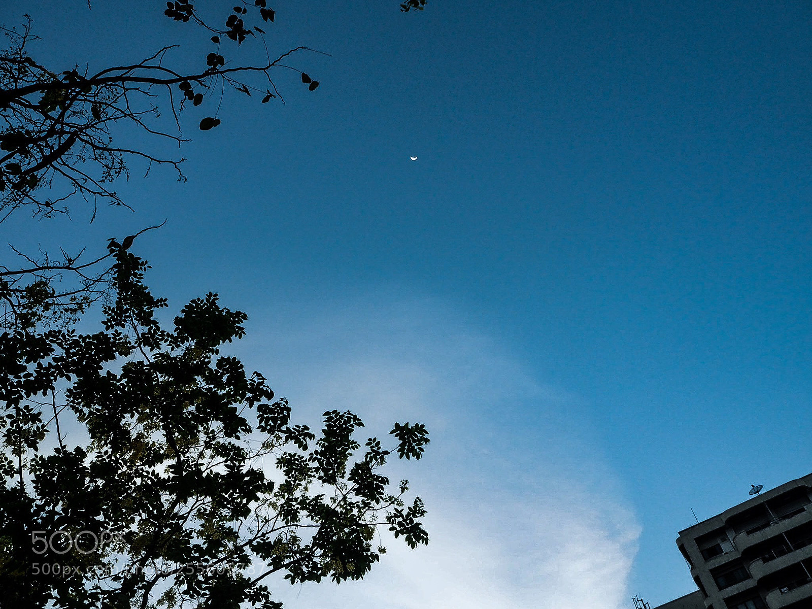 Olympus OM-D E-M10 II sample photo. Moon with her pretty photography