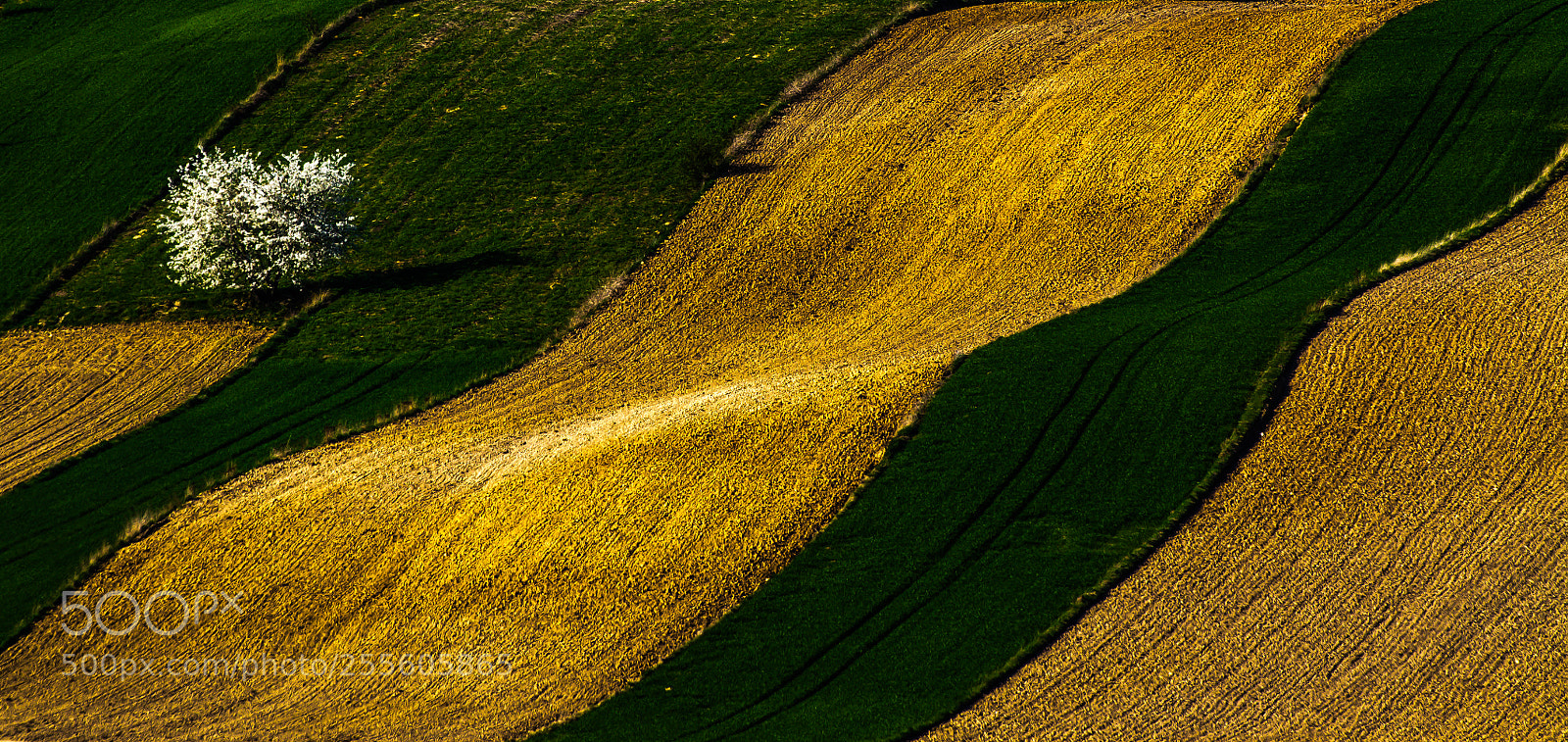 Nikon D5200 sample photo. Landscapes photography