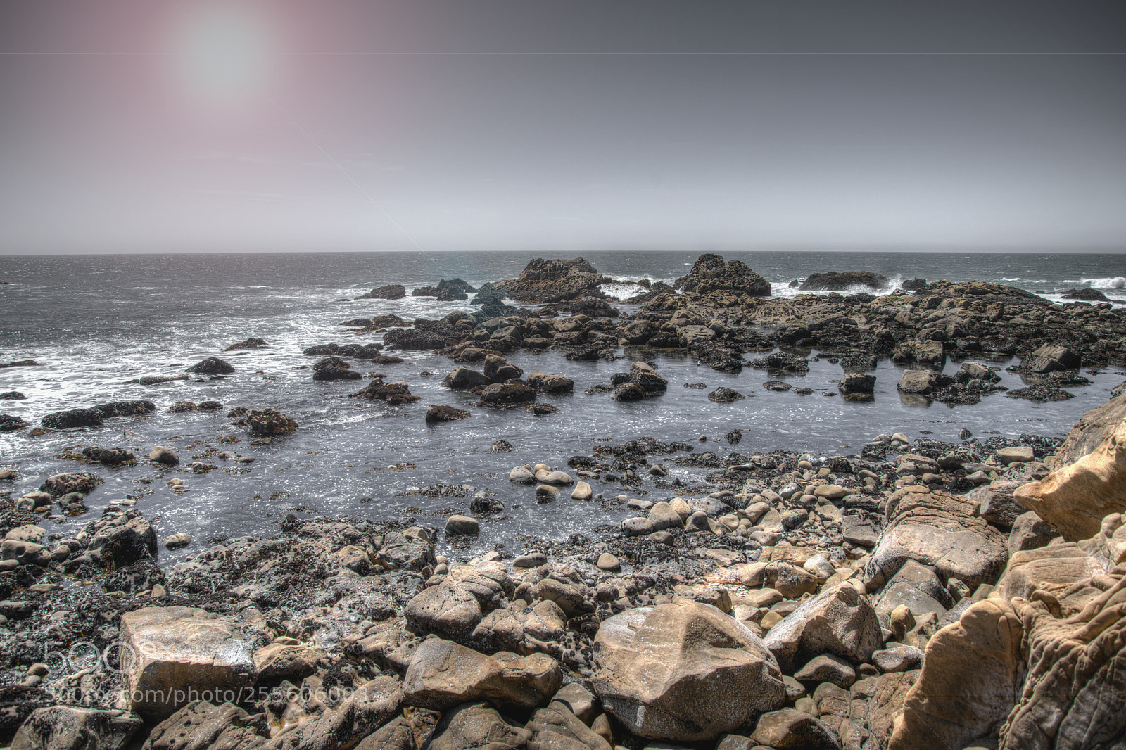 Nikon D850 sample photo. California coast photography