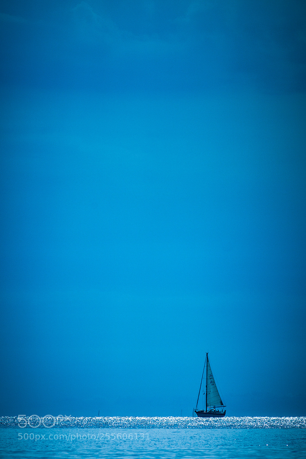 Canon EOS 5D Mark II sample photo. In blue photography