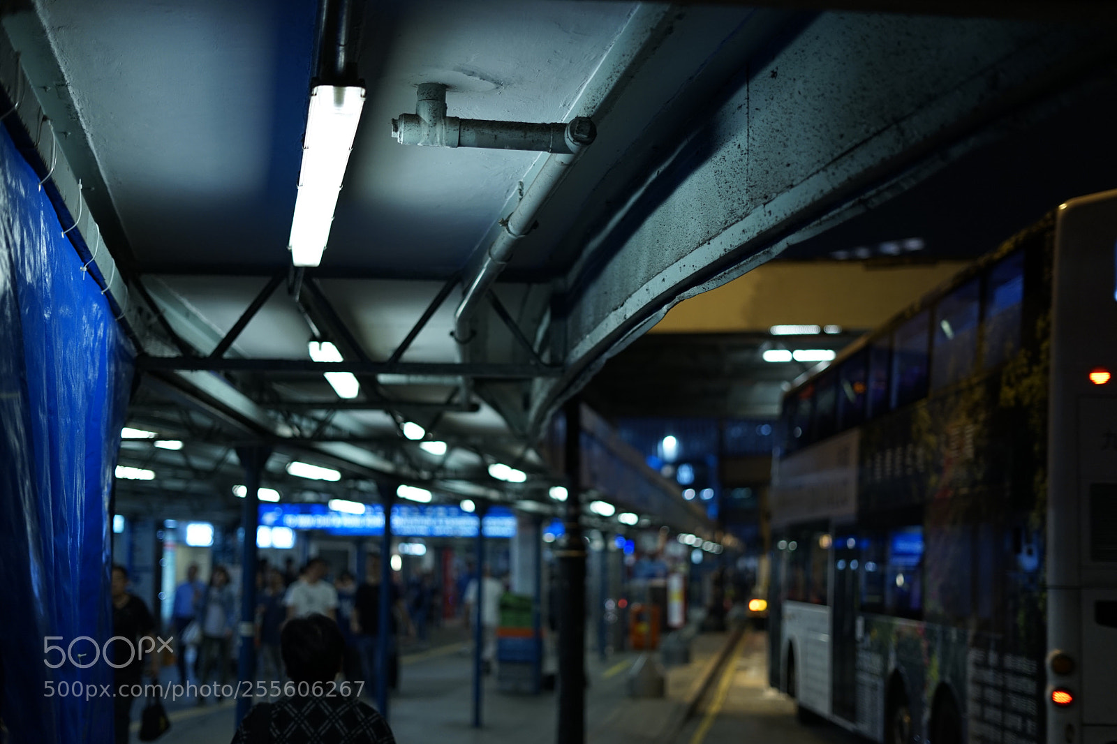 Sony a7 II sample photo. Snapshot photography