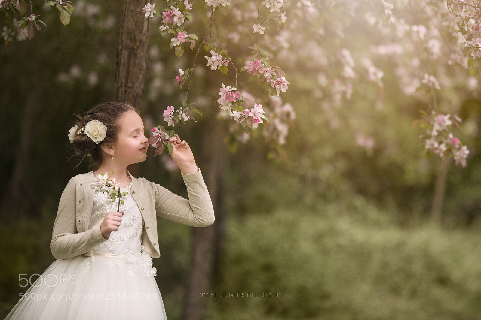 Nikon D850 sample photo. Blossom photography