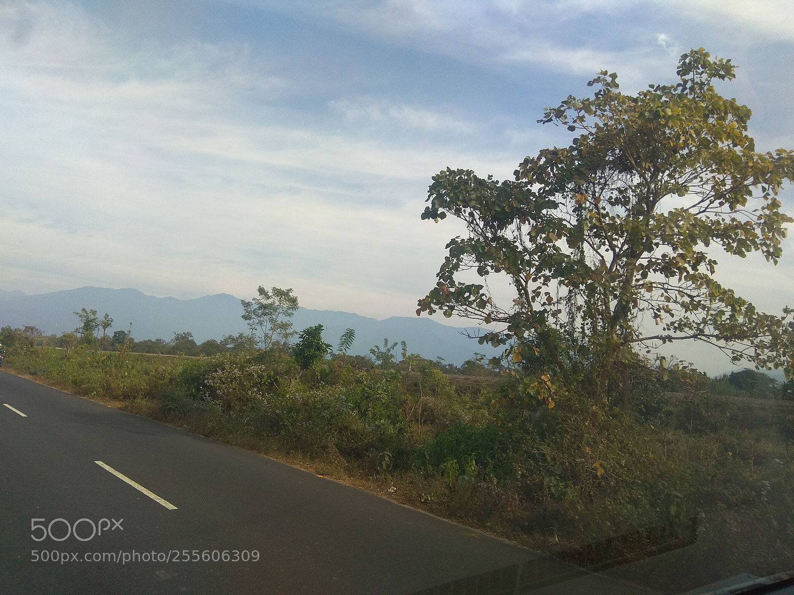 Xiaomi Redmi Note 4 sample photo. Untitled photography