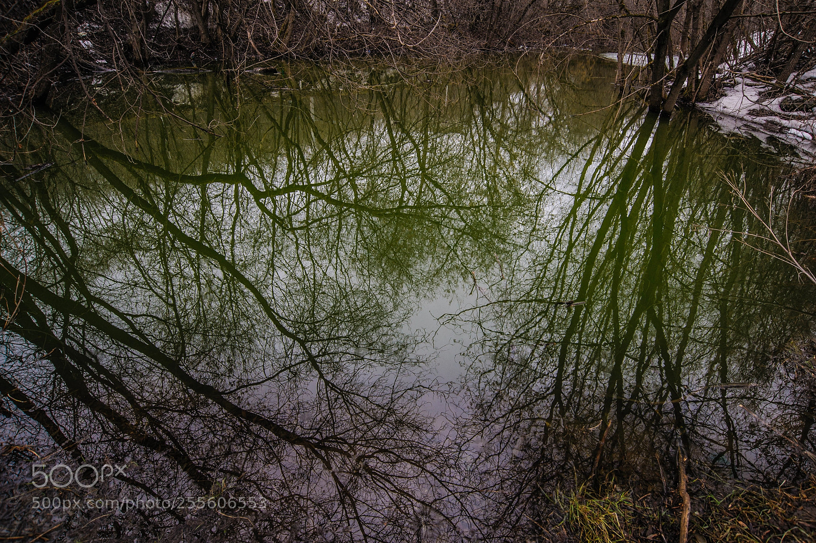 Nikon D700 sample photo. Тихая заводь photography