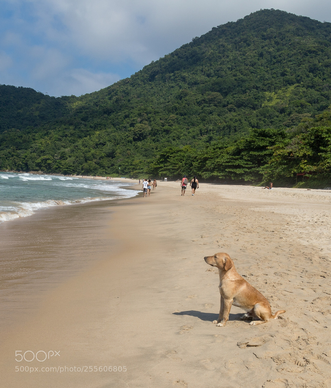 Canon EOS 6D Mark II sample photo. Untitled photography