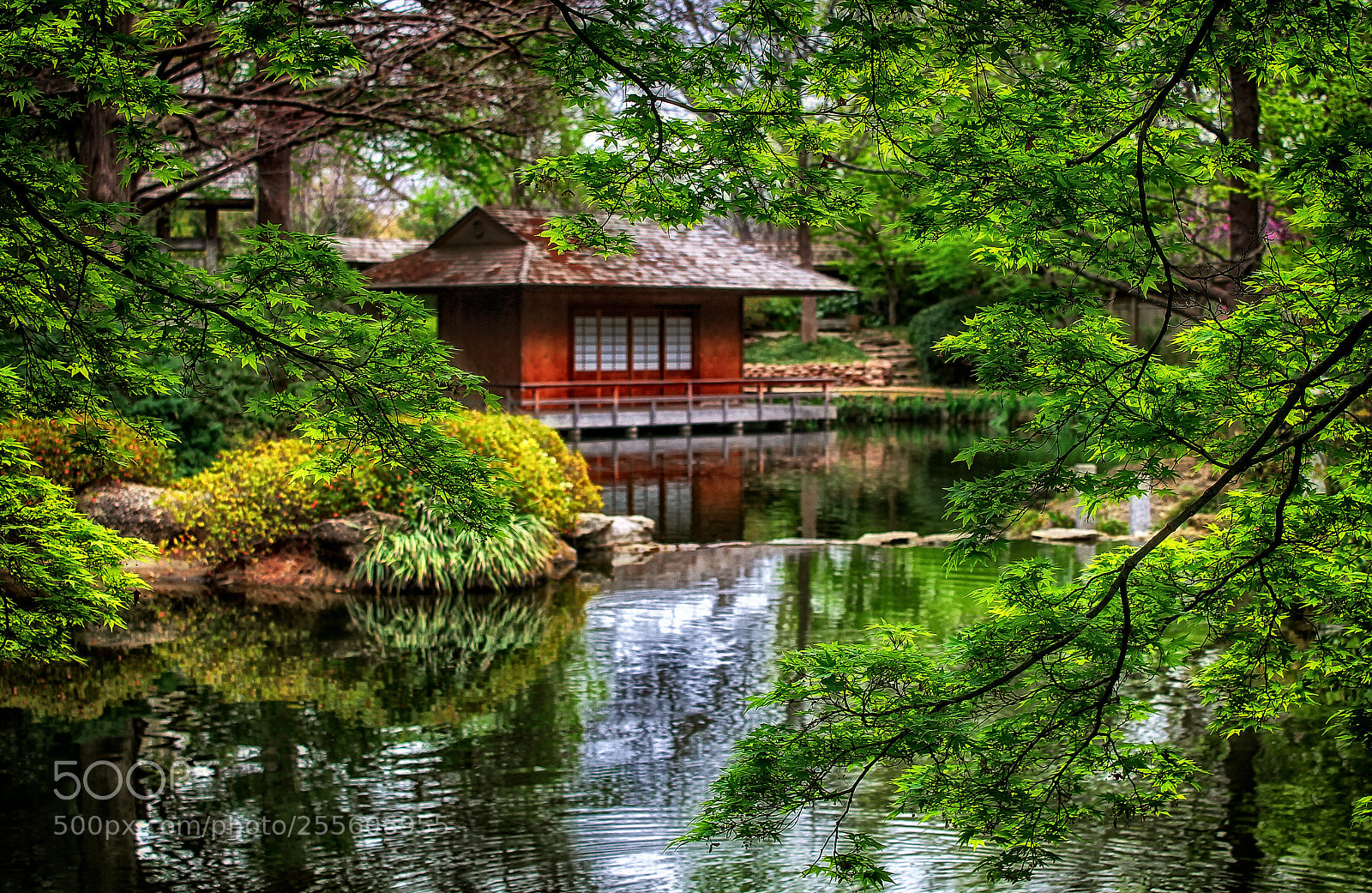 Canon EOS 1100D (EOS Rebel T3 / EOS Kiss X50) sample photo. Japanese pavilion photography