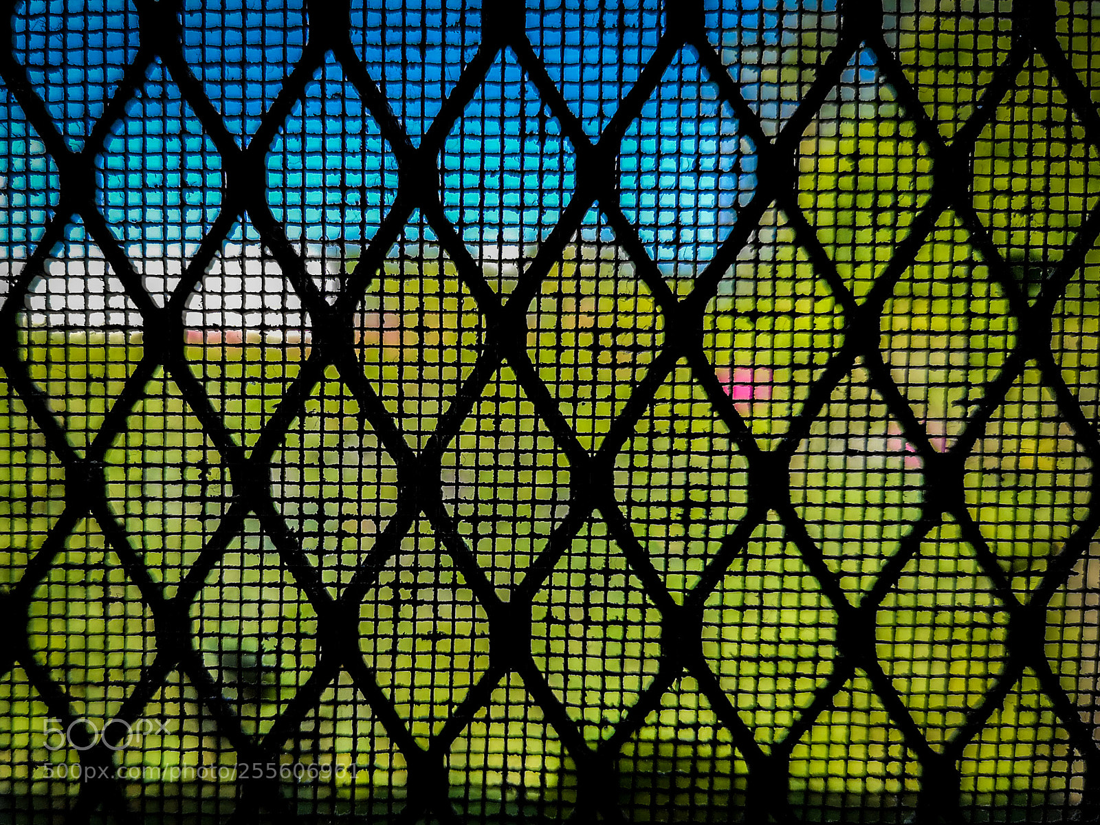 HUAWEI CLT-L29 sample photo. Untitled photography