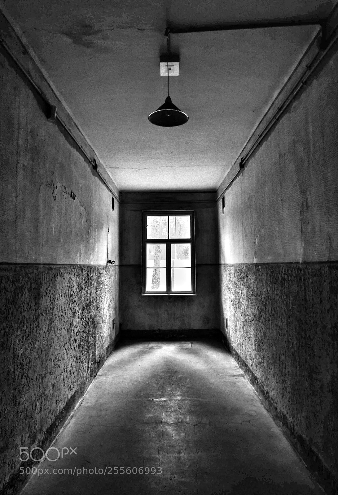 Canon EOS 1000D (EOS Digital Rebel XS / EOS Kiss F) sample photo. Corridor - mengele's block photography