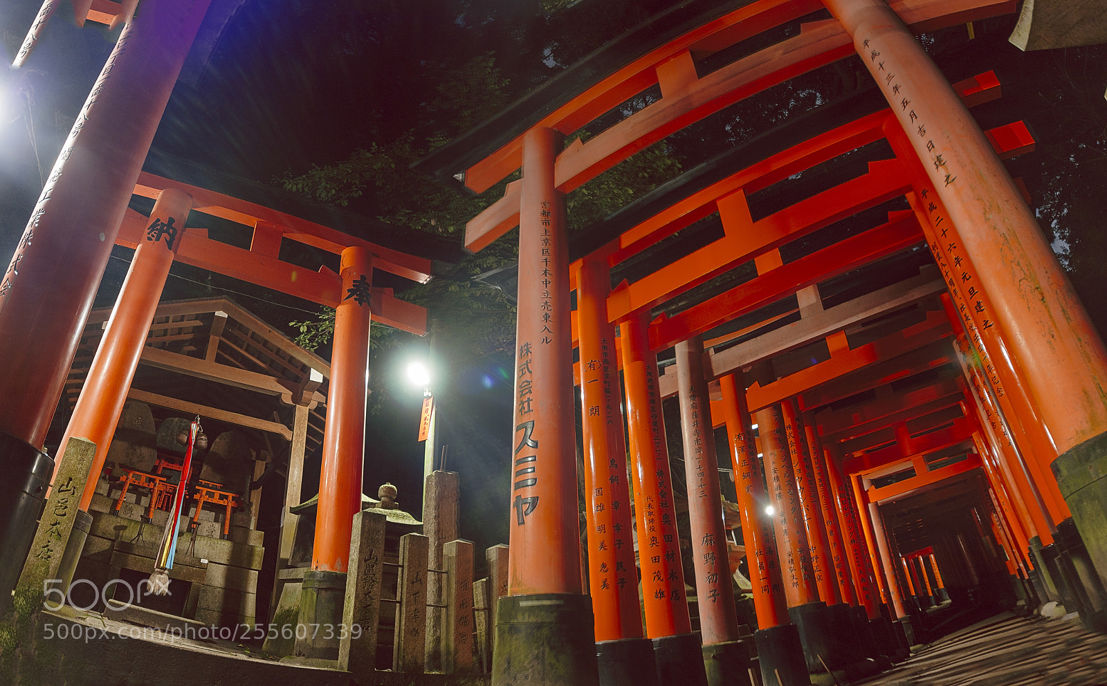 Canon EOS 450D (EOS Rebel XSi / EOS Kiss X2) sample photo. Fushimi inari shinto shrine photography