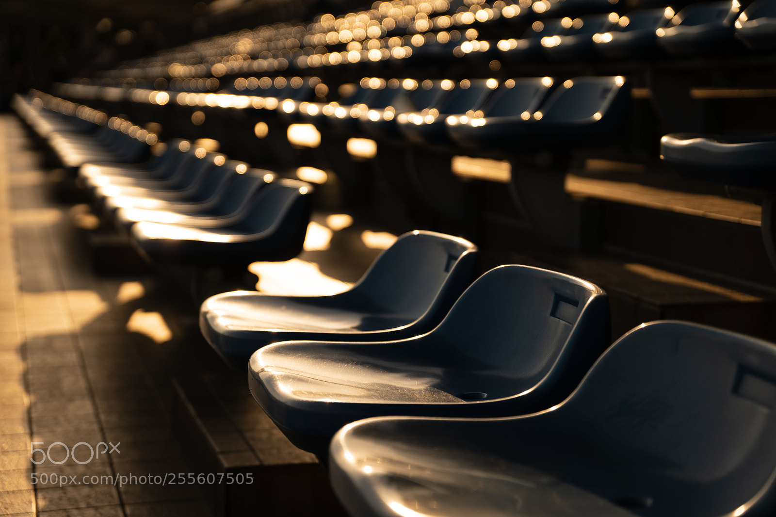 Sony a9 sample photo. Bench photography