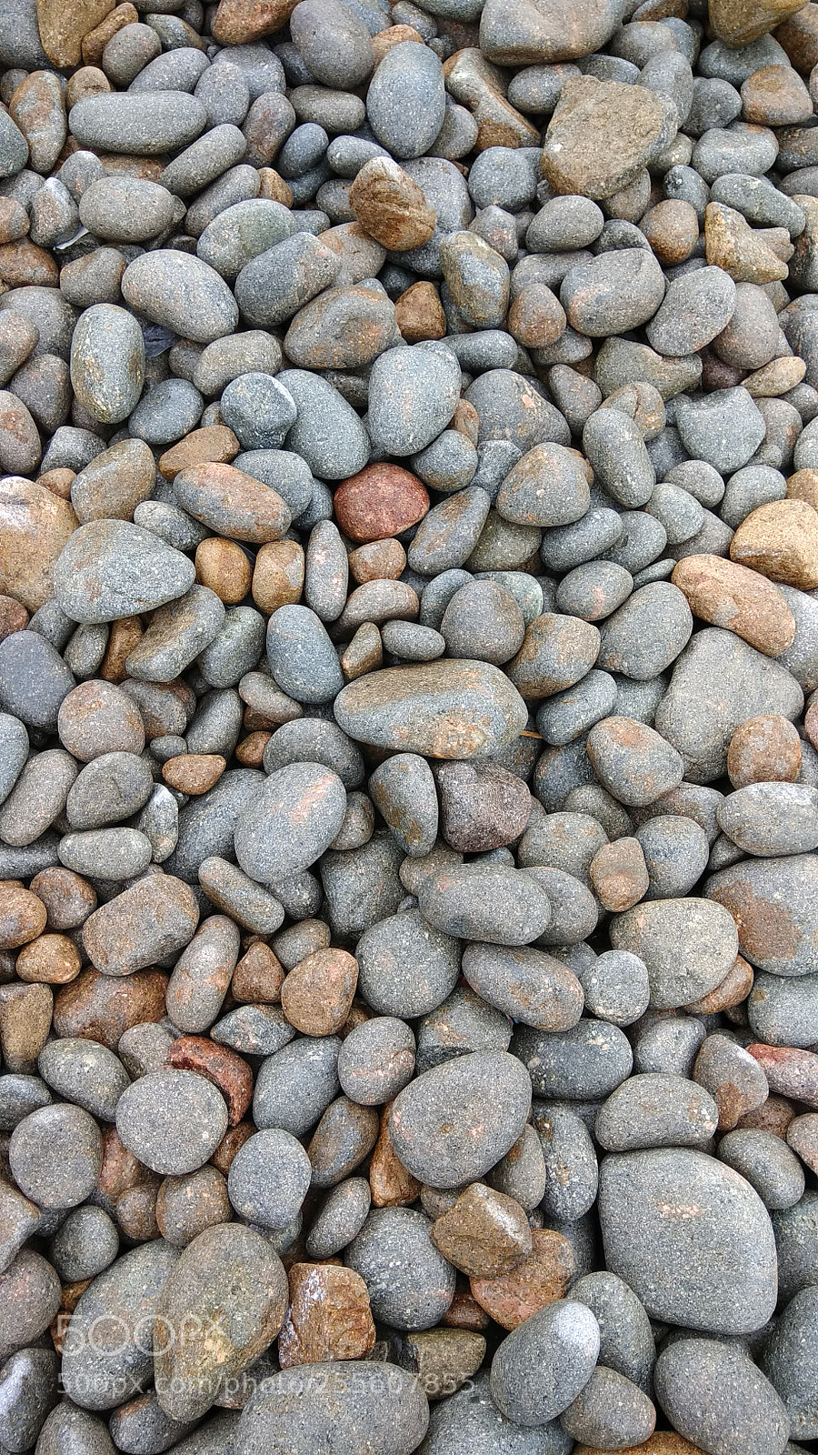 Xiaomi Redmi Note 4 sample photo. Pebbles photography