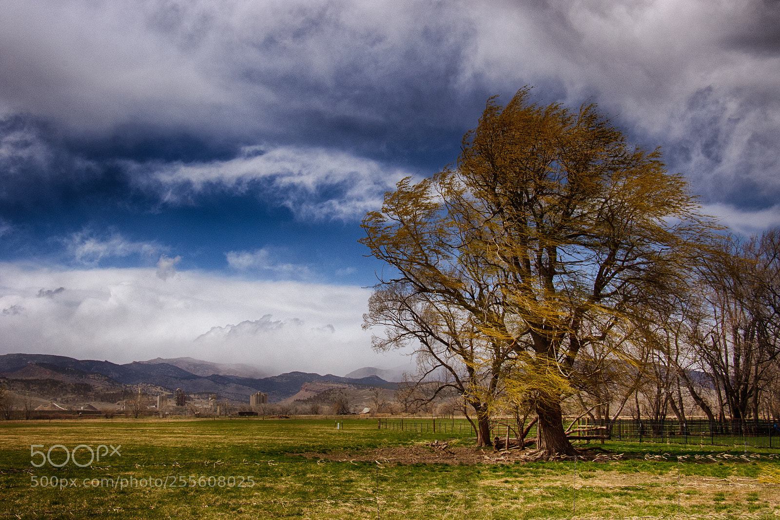Canon EOS 7D Mark II sample photo.  willow winds photography