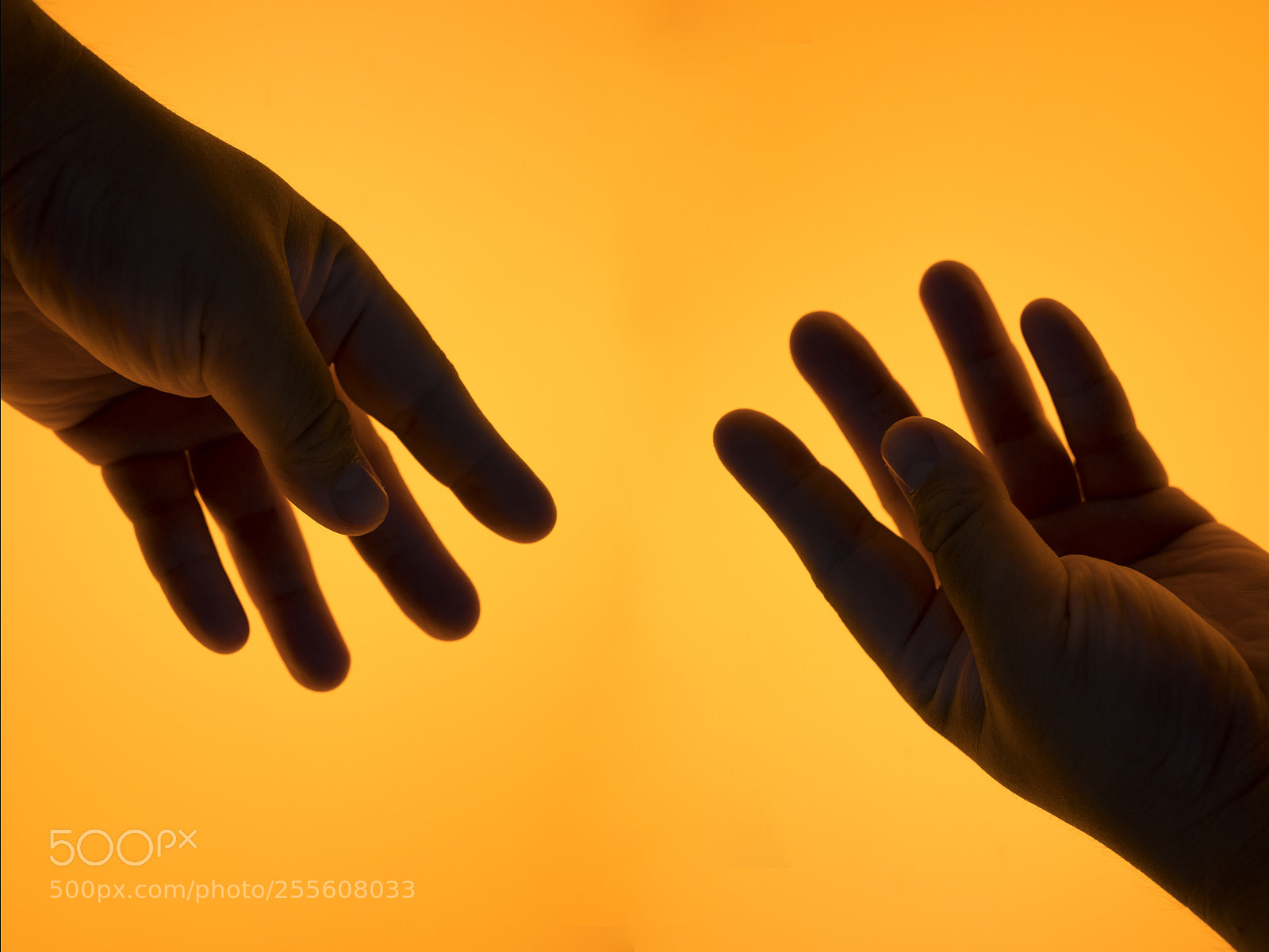 Sony a9 sample photo. Hand silhouette photography