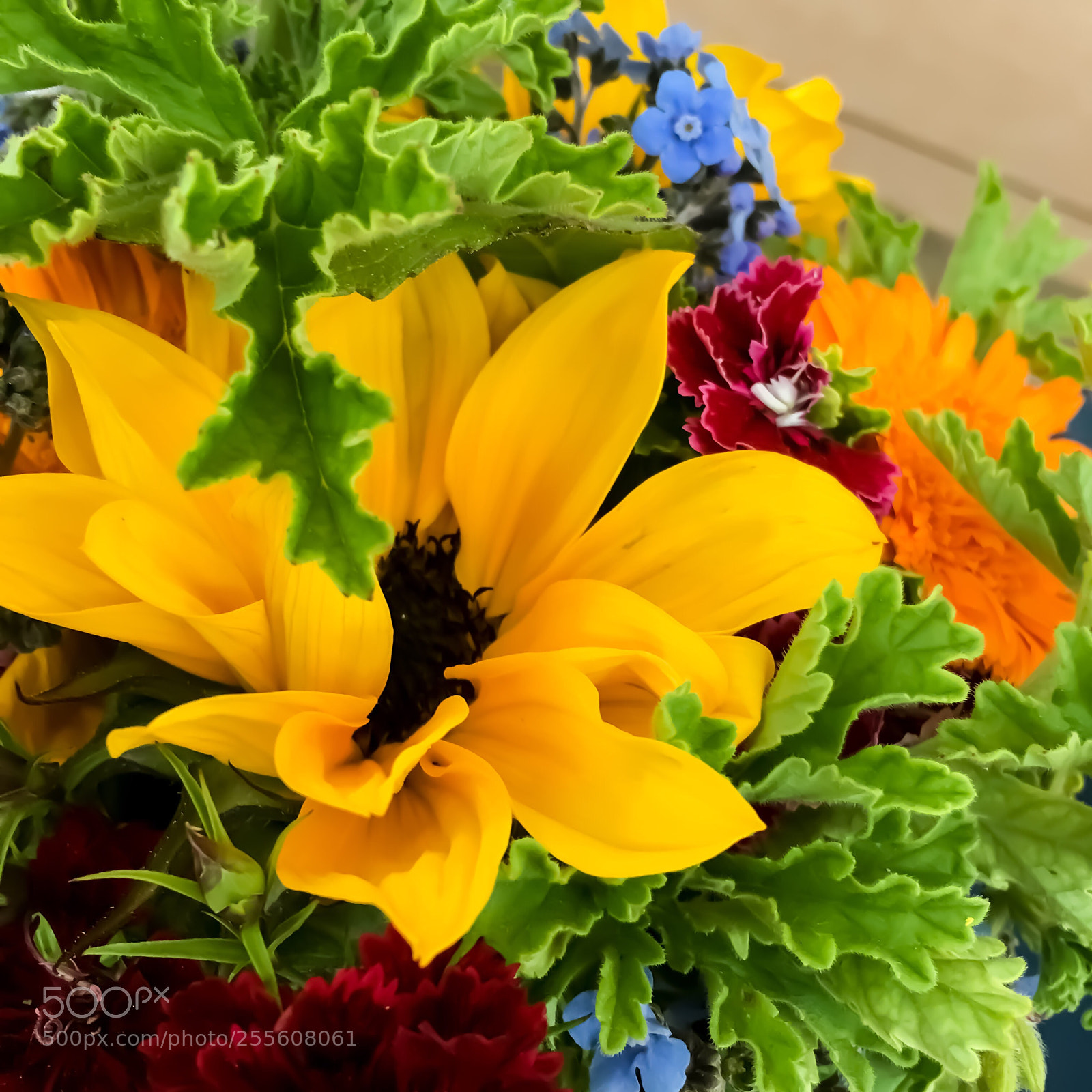 Apple iPhone 6s sample photo. Springtime bouquet photography