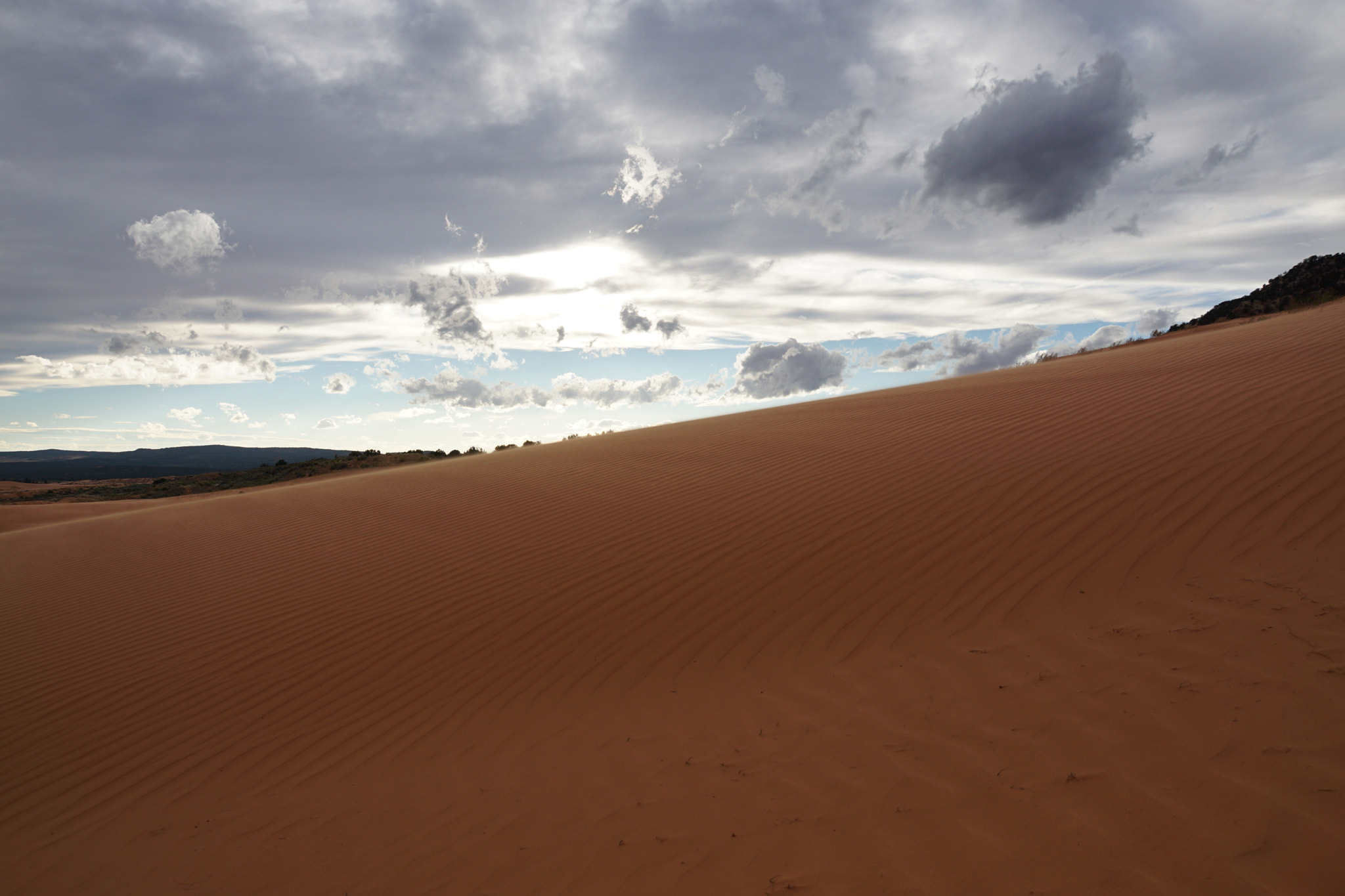 Sony ILCA-77M2 sample photo. Coral pink sand dunes photography