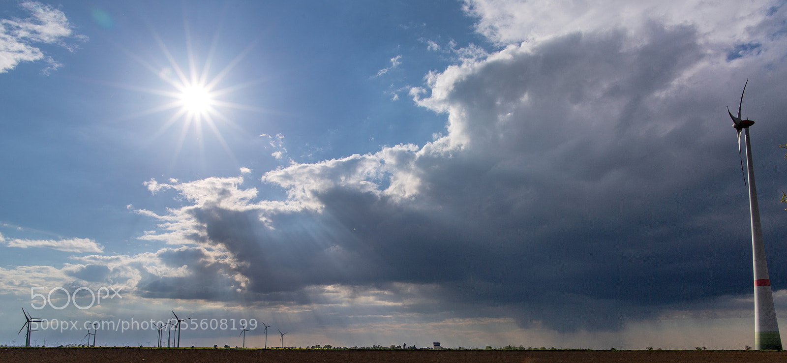 Canon EOS 6D sample photo. Natural energy photography