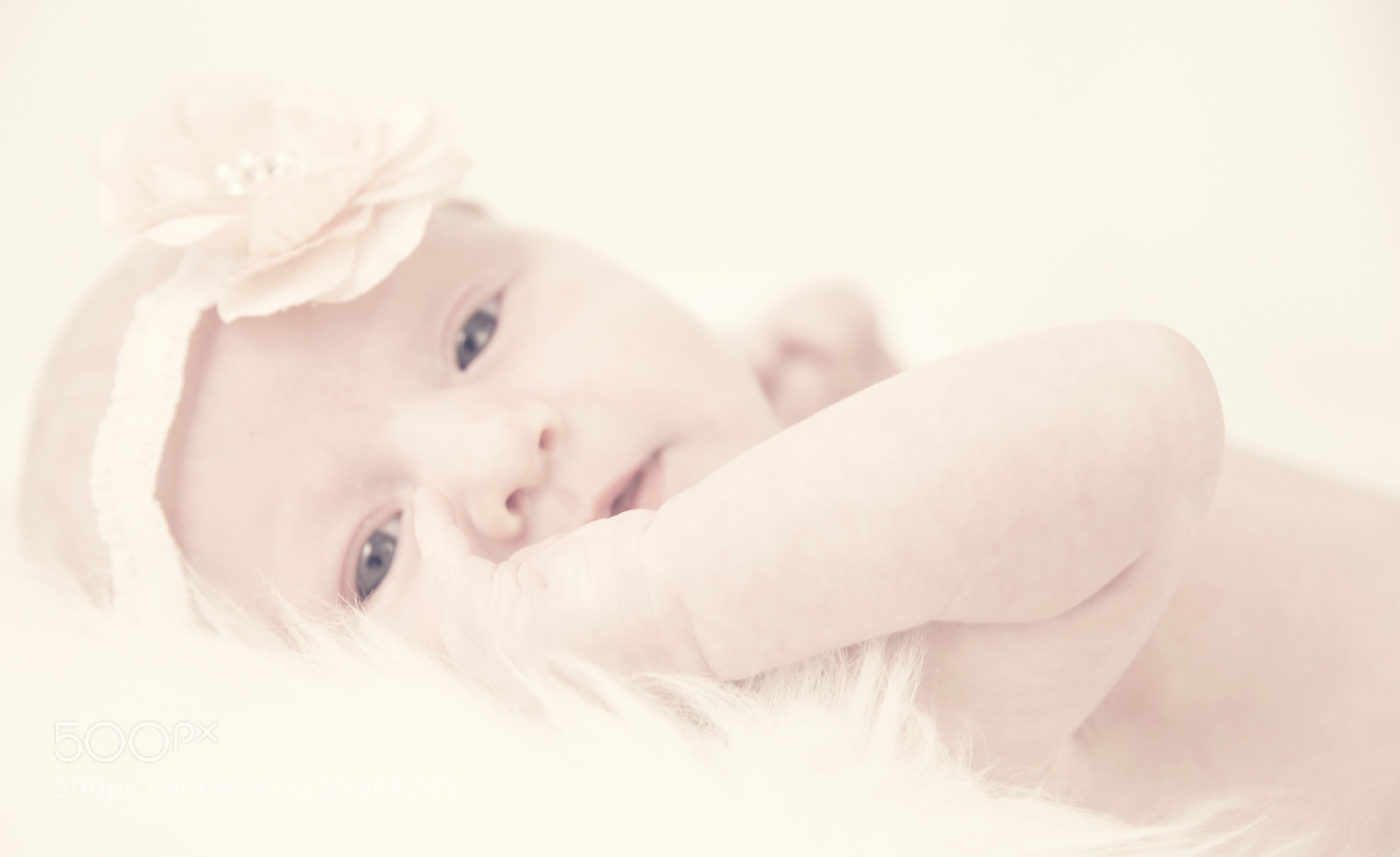 Canon EOS 6D sample photo. Baby girl rosa photography