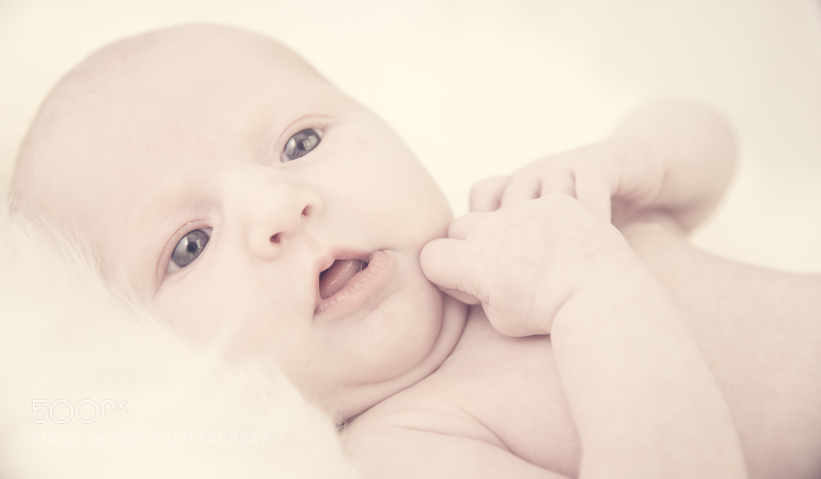 Canon EOS 6D sample photo. Baby girl rosa photography