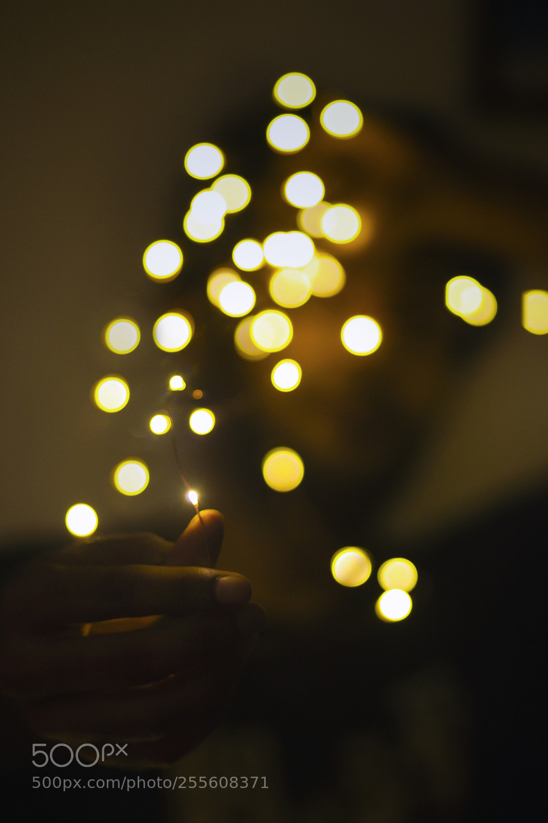Canon EOS 60D sample photo. The bokeh game photography