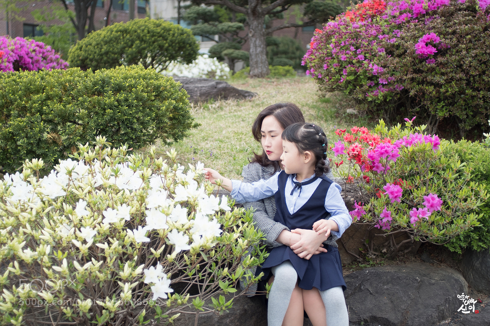 Fujifilm X-T2 sample photo. Mom, what's flower name? photography
