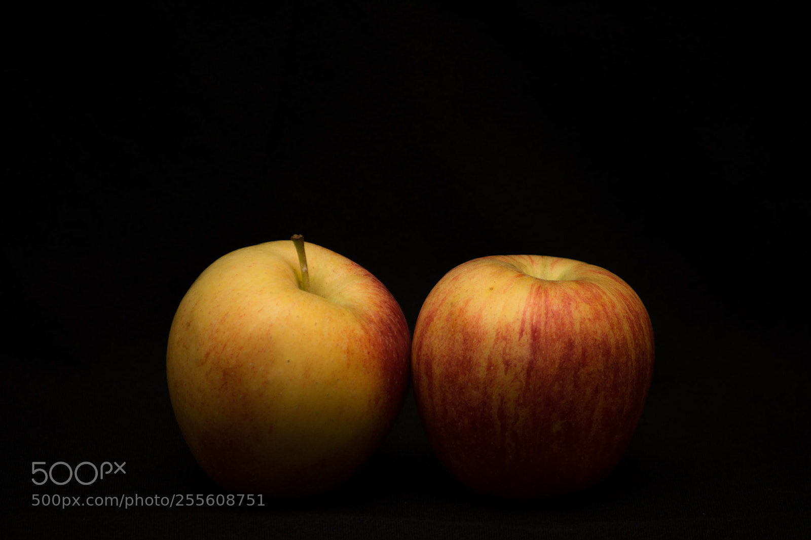 Nikon D3300 sample photo. Apples photography