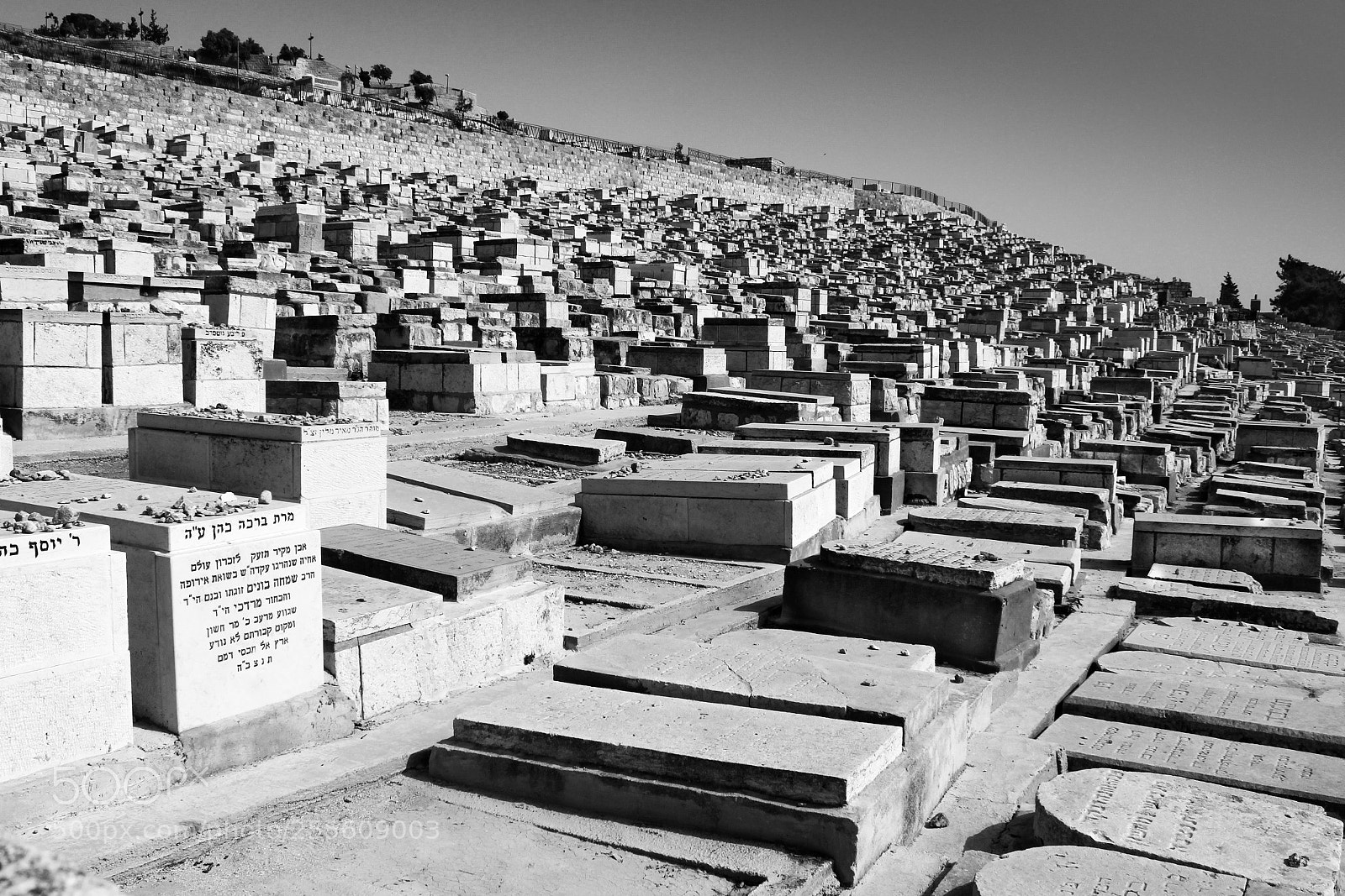 Canon EOS 550D (EOS Rebel T2i / EOS Kiss X4) sample photo. Jewish cemetery photography