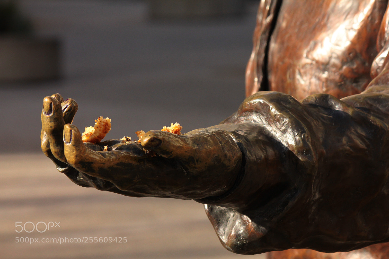 Canon EOS 550D (EOS Rebel T2i / EOS Kiss X4) sample photo. Challenge: hands photography