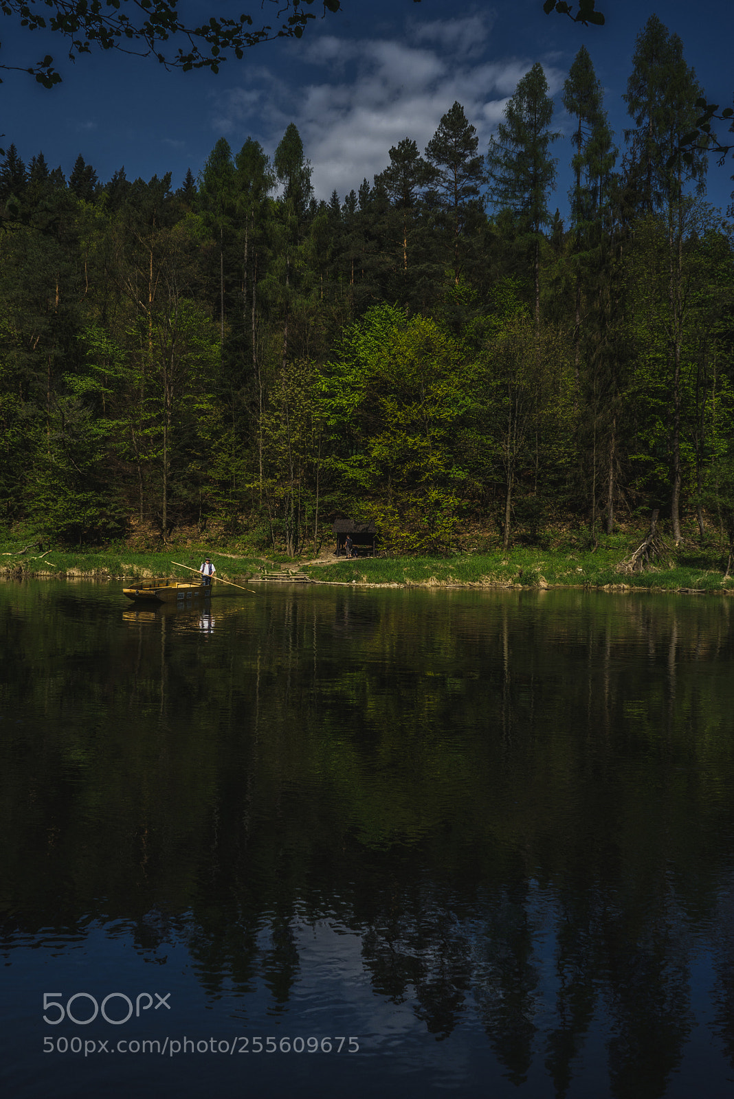 Sony a7R sample photo. Flisak photography
