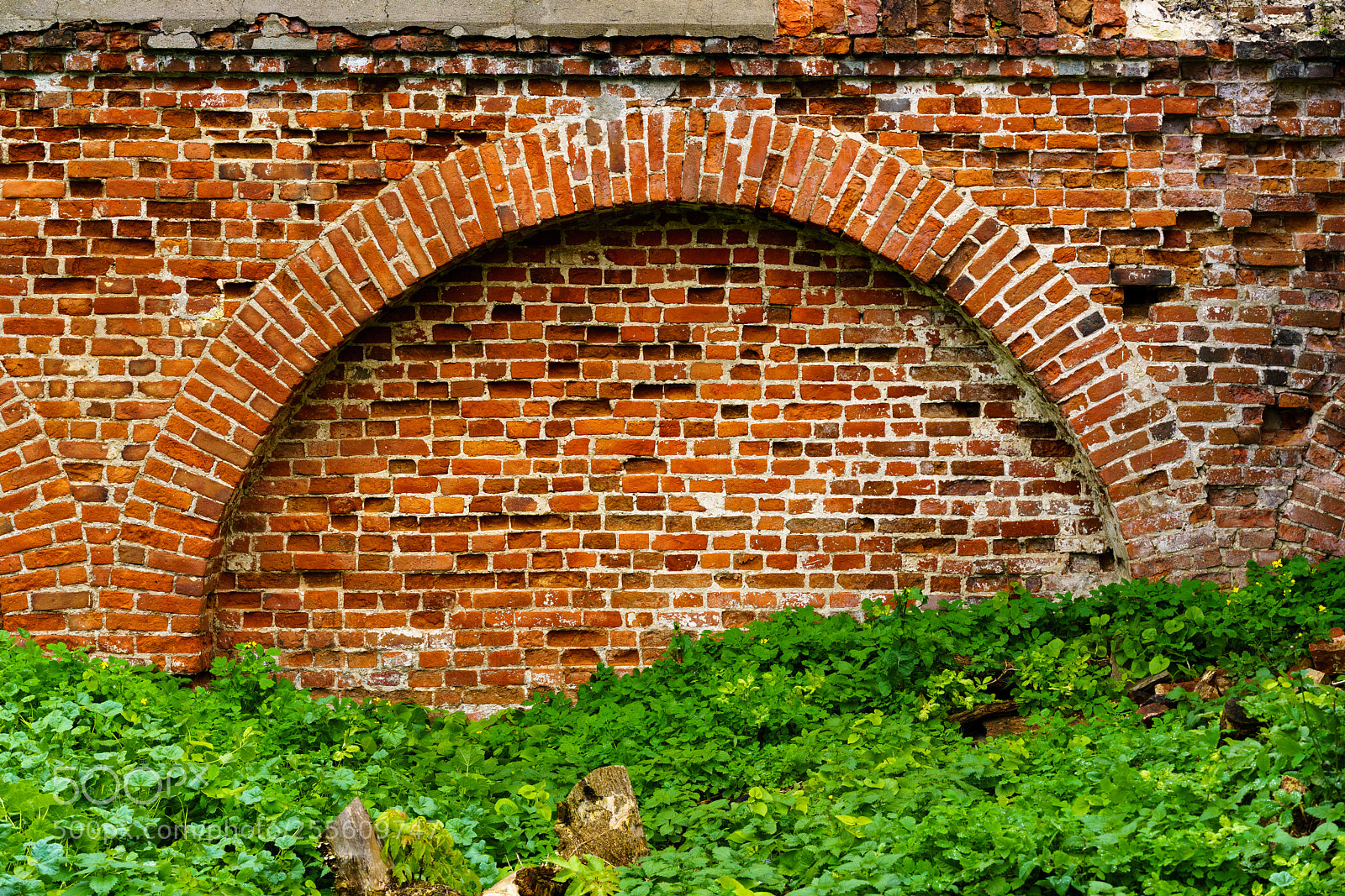 Sony a7R II sample photo. Suzdal 39. photography