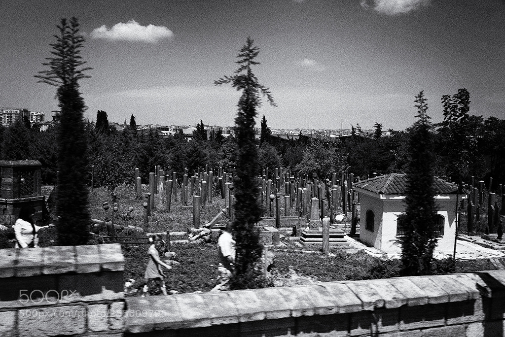 Nikon D600 sample photo. Cemetery istanbul photography
