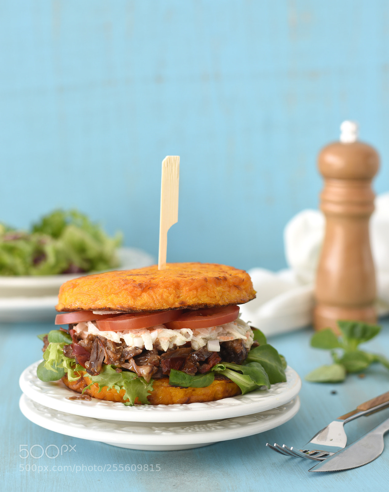 Nikon D5600 sample photo. Pulled pork slider with photography