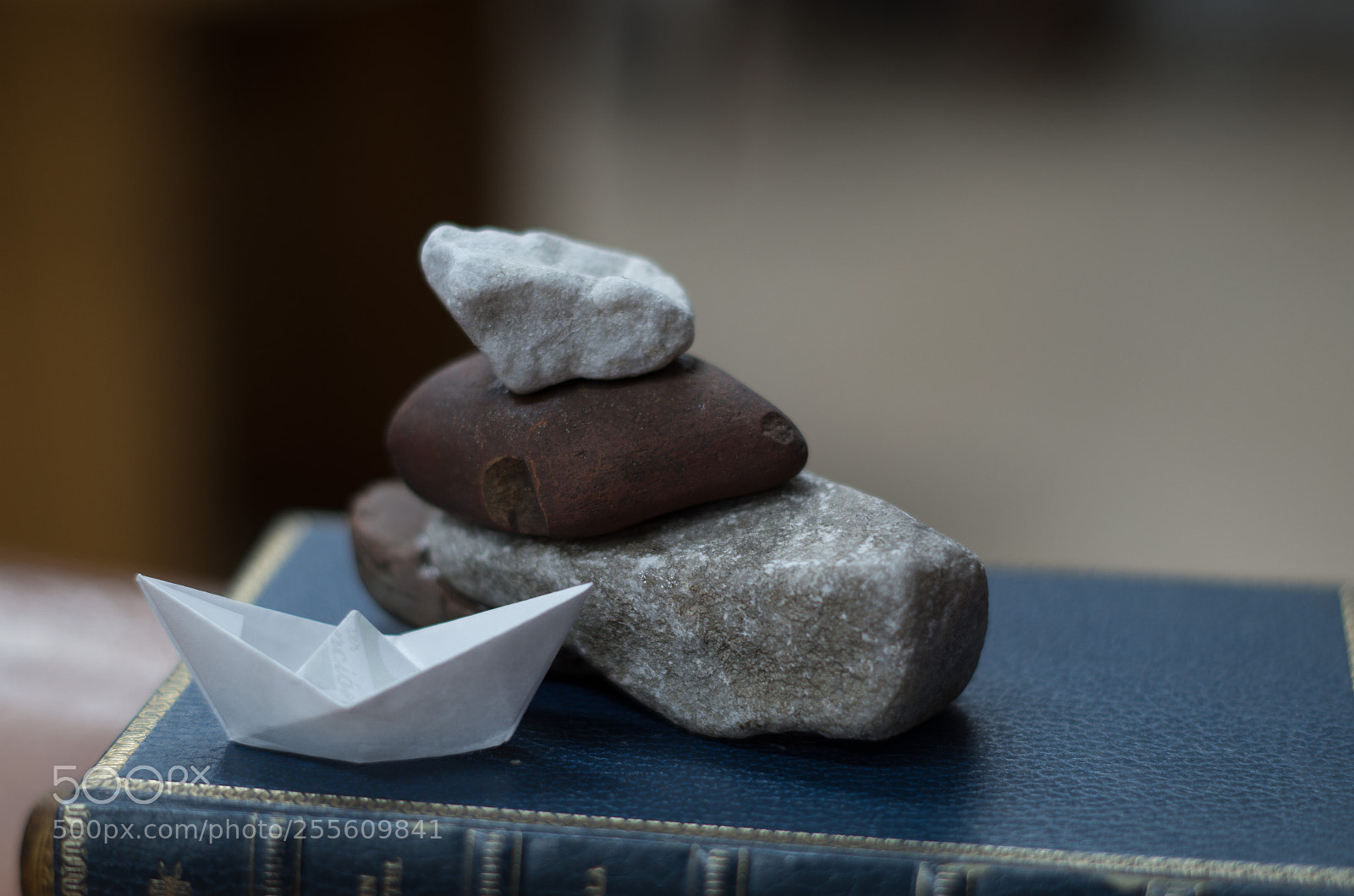 Pentax K-50 sample photo. Paper ship photography