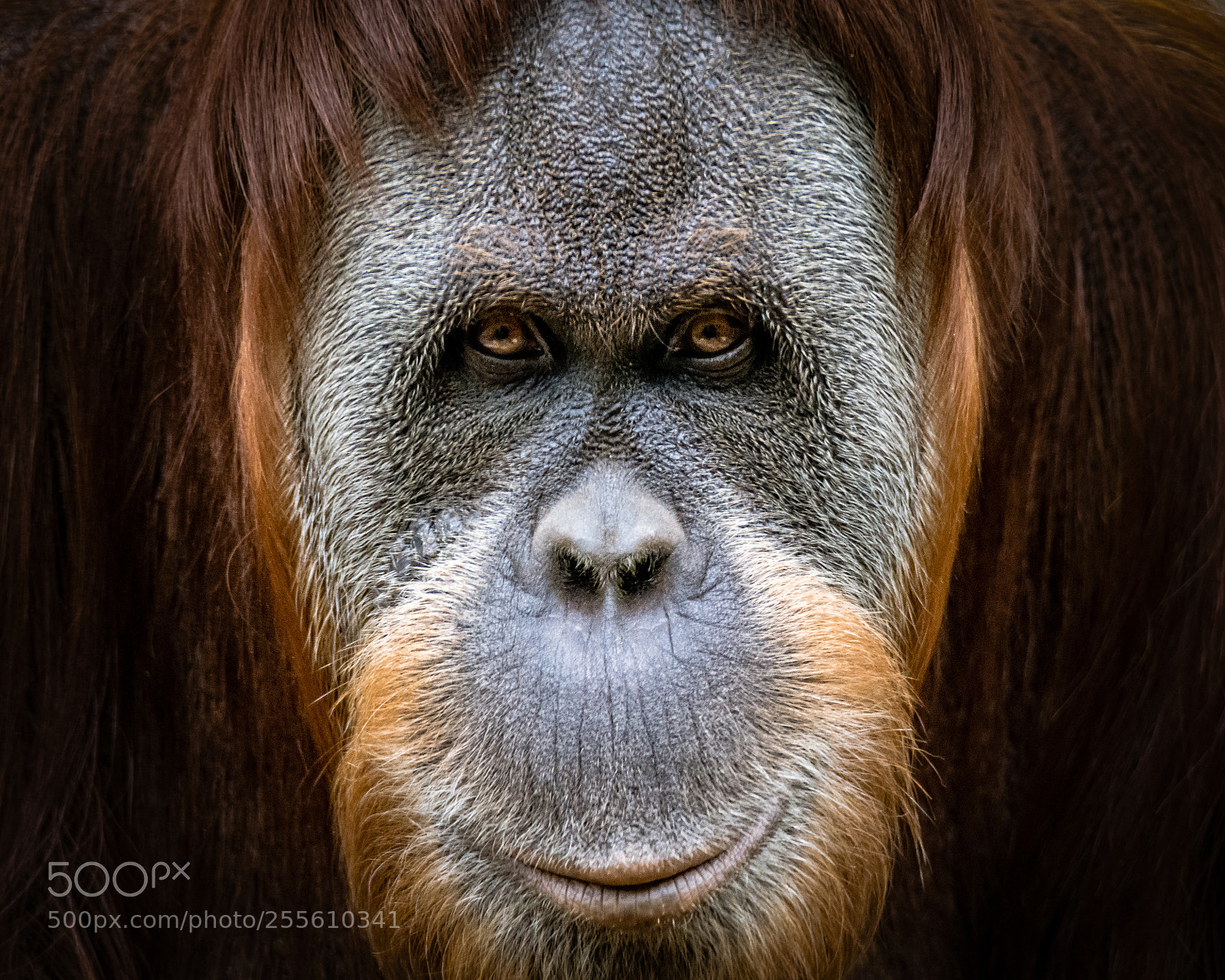 Nikon D7200 sample photo. "happy ranga" photography