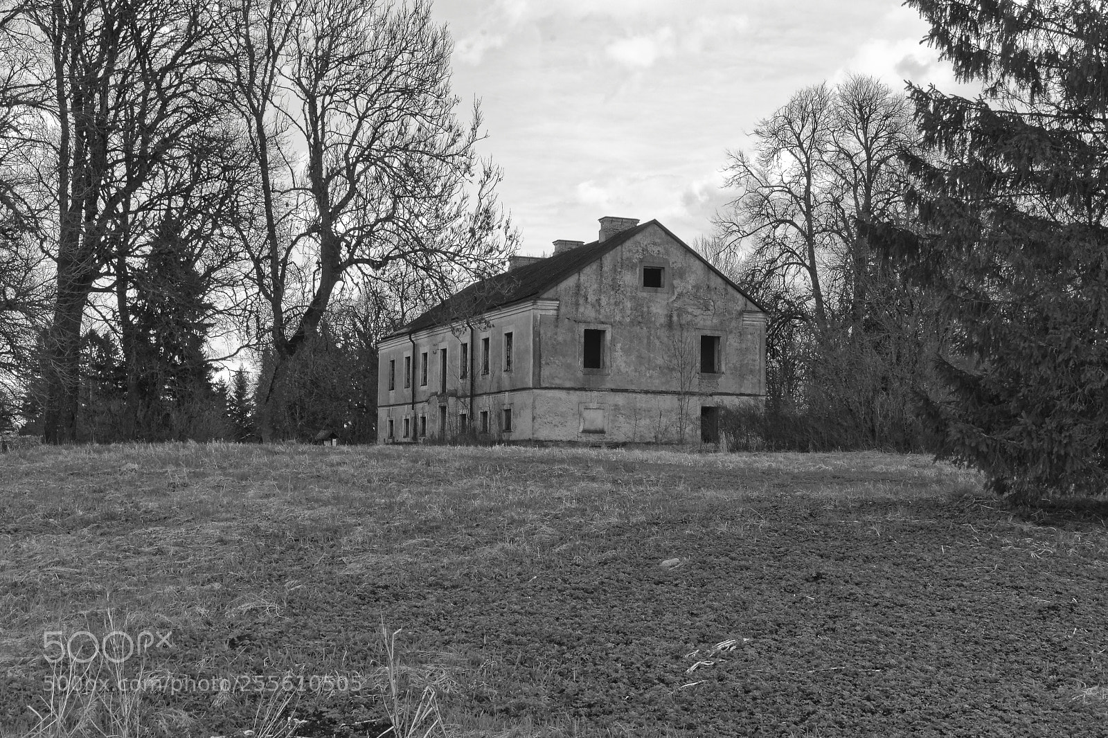 Nikon D3100 sample photo. First b/w photography