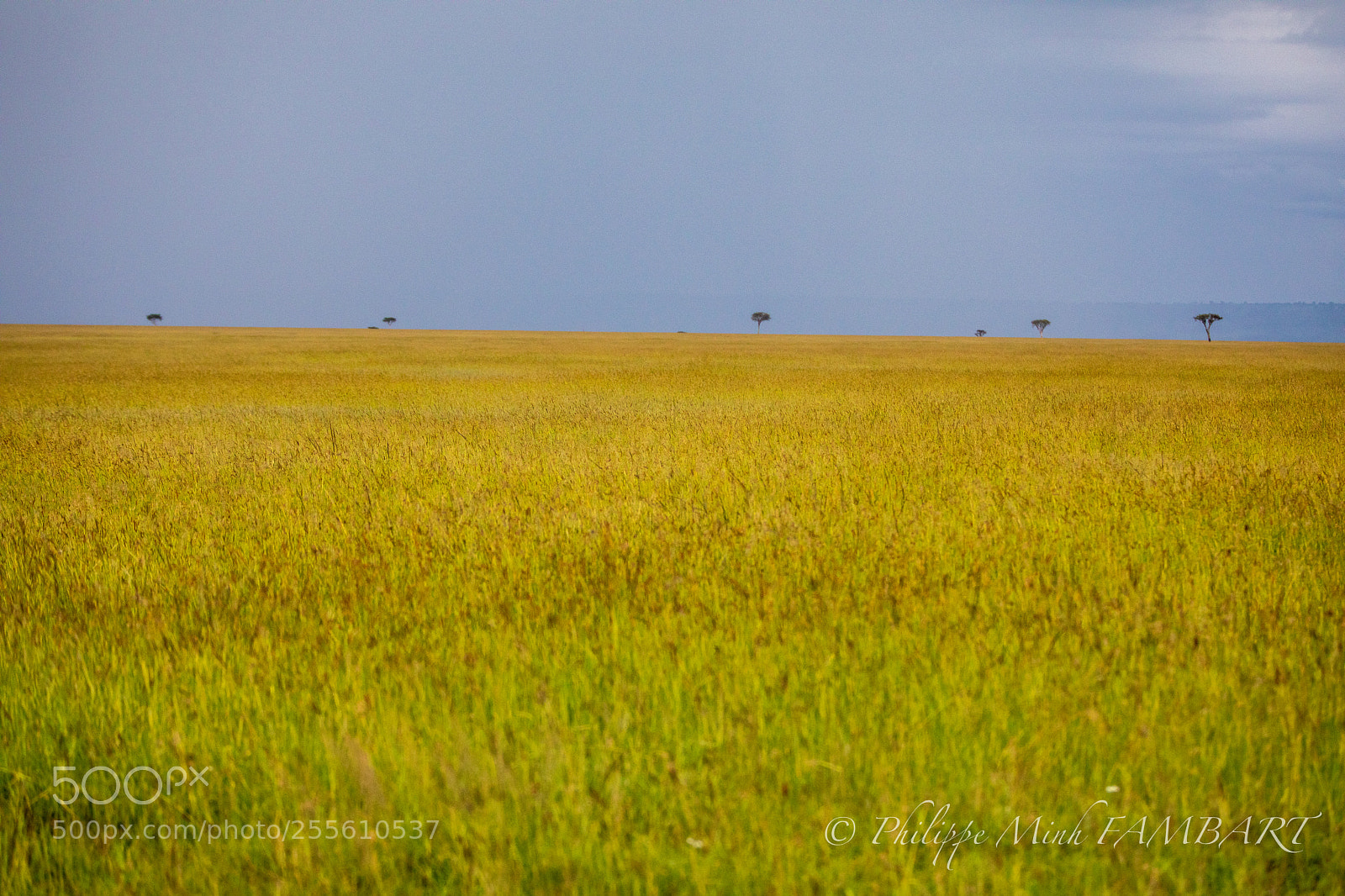 Canon EOS 5D Mark IV sample photo. Landscape at masai mara photography