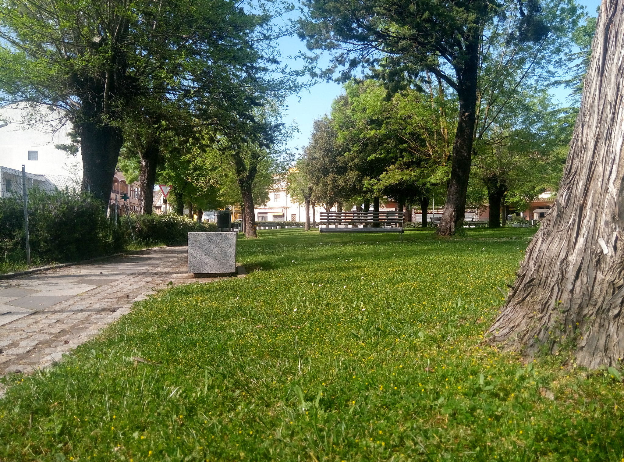 Meizu m2 sample photo. Piazza europa - perdasdefogu photography