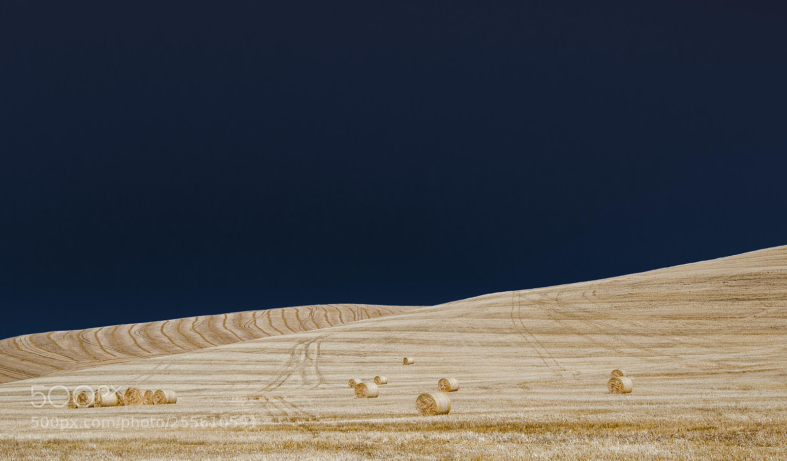 Nikon D7000 sample photo. Harvested photography