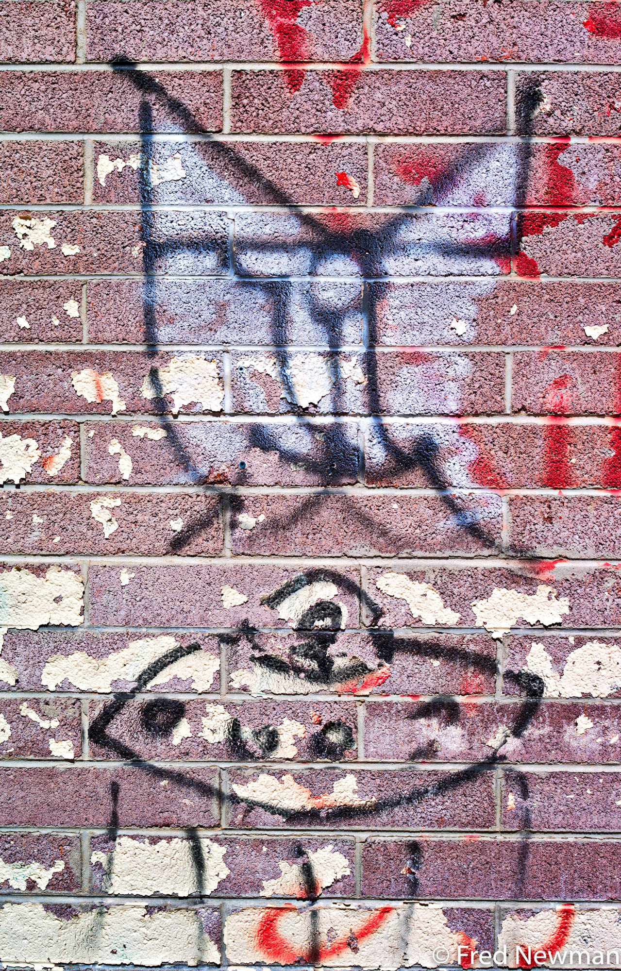 Leica S2 sample photo. Butterflies & aliens photography
