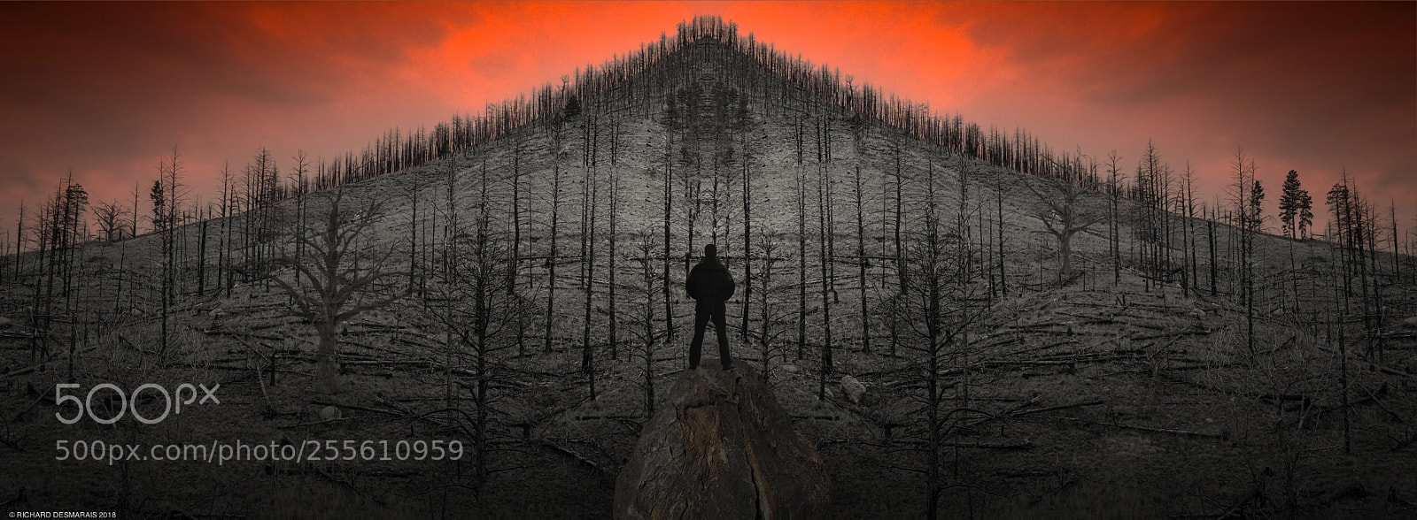 Canon EOS 5D sample photo. Fire on the mountain photography