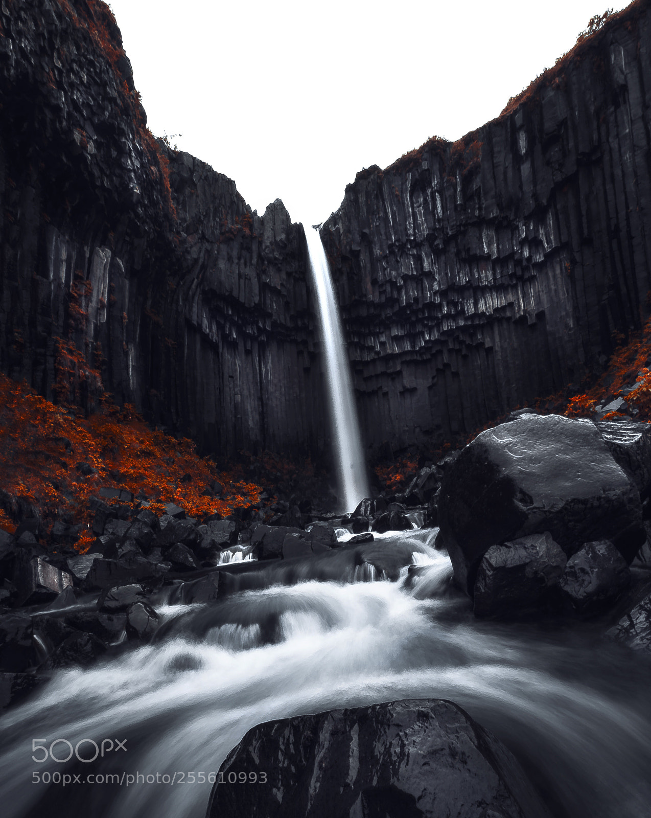 Olympus OM-D E-M1 Mark II sample photo. Black falls photography