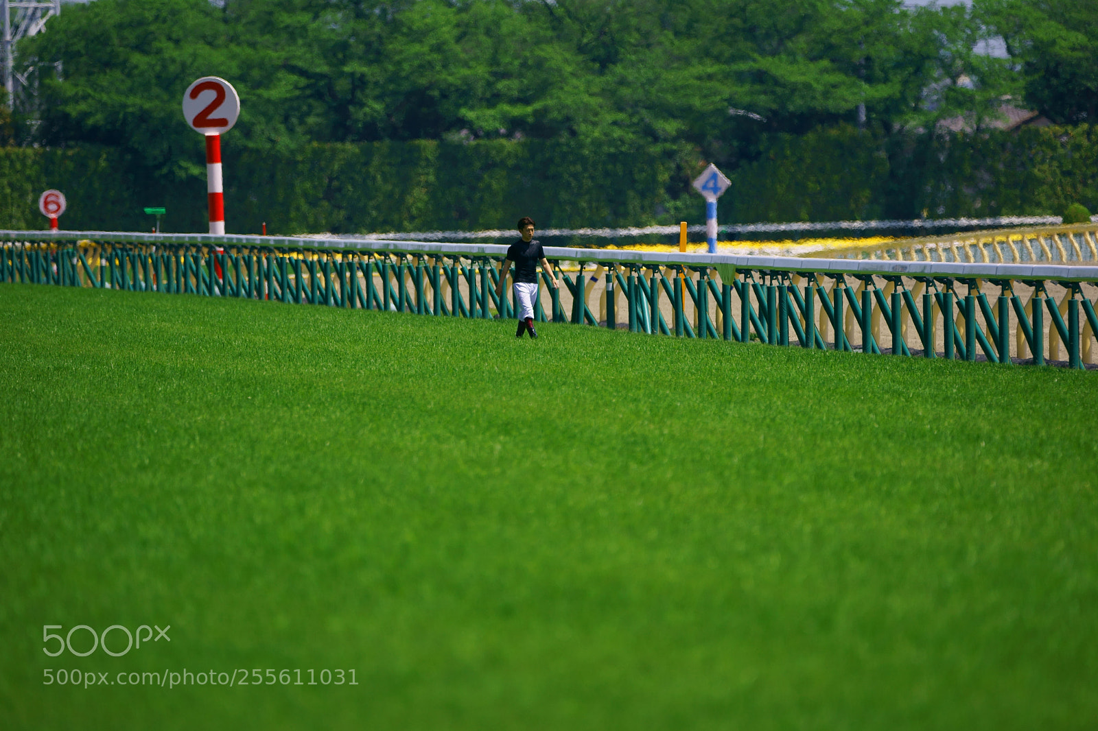 Sony a9 sample photo. Horse race jokey photography