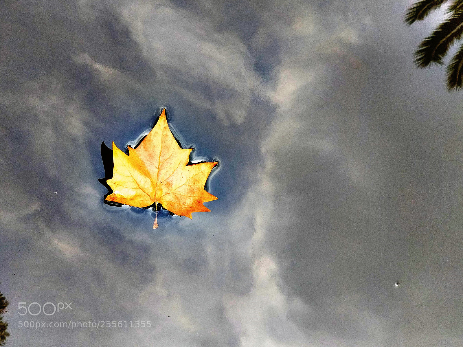 OnePlus 5 sample photo. Untitled photography