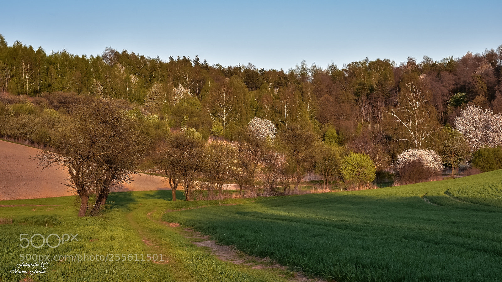 Nikon D7200 sample photo. Na roztoczu photography