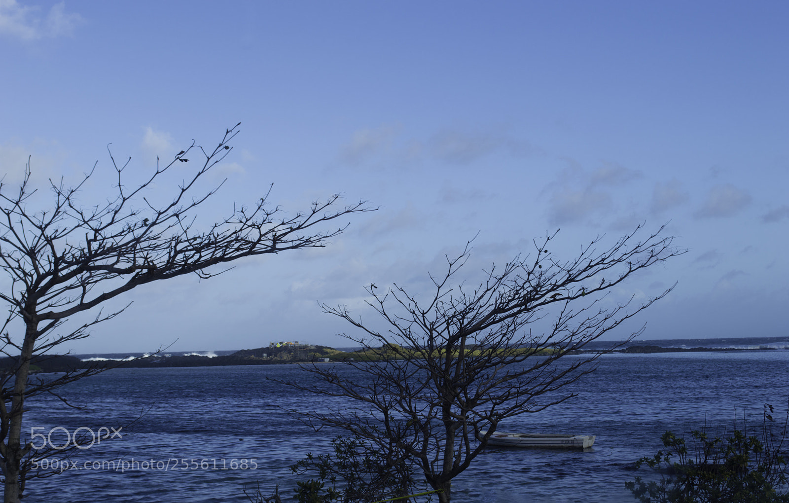 Nikon D3200 sample photo. Tranquility photography