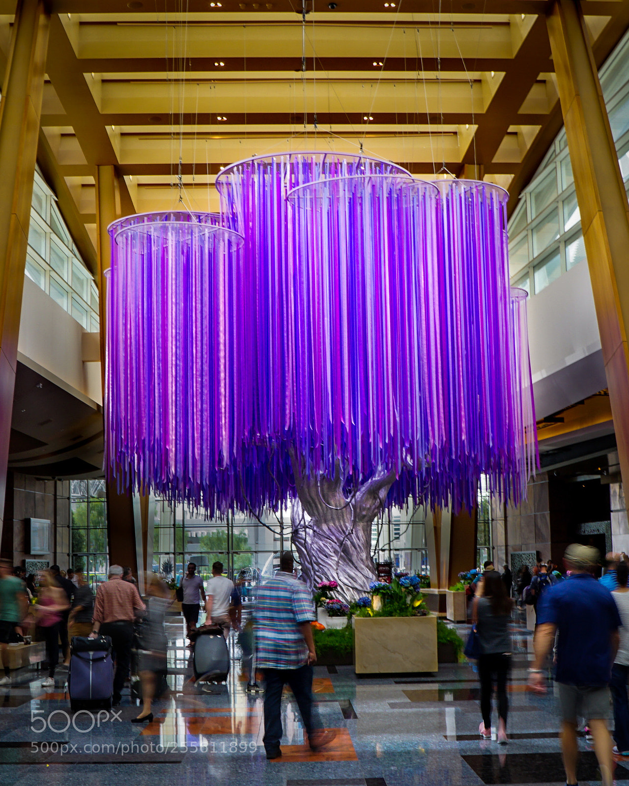 Sony a6000 sample photo. Artistic tree at the photography