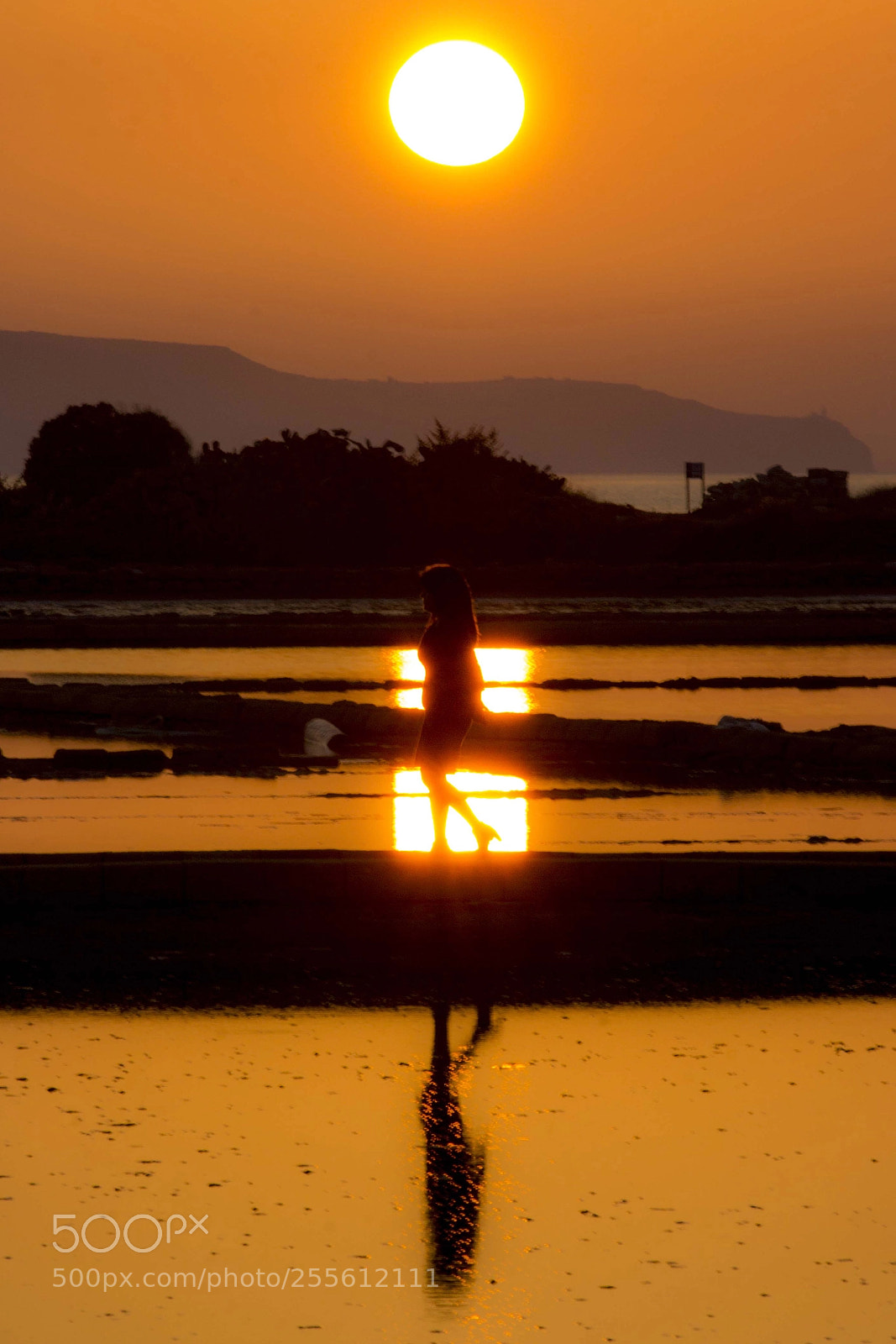Canon EOS 60D sample photo. Walking at sunset photography