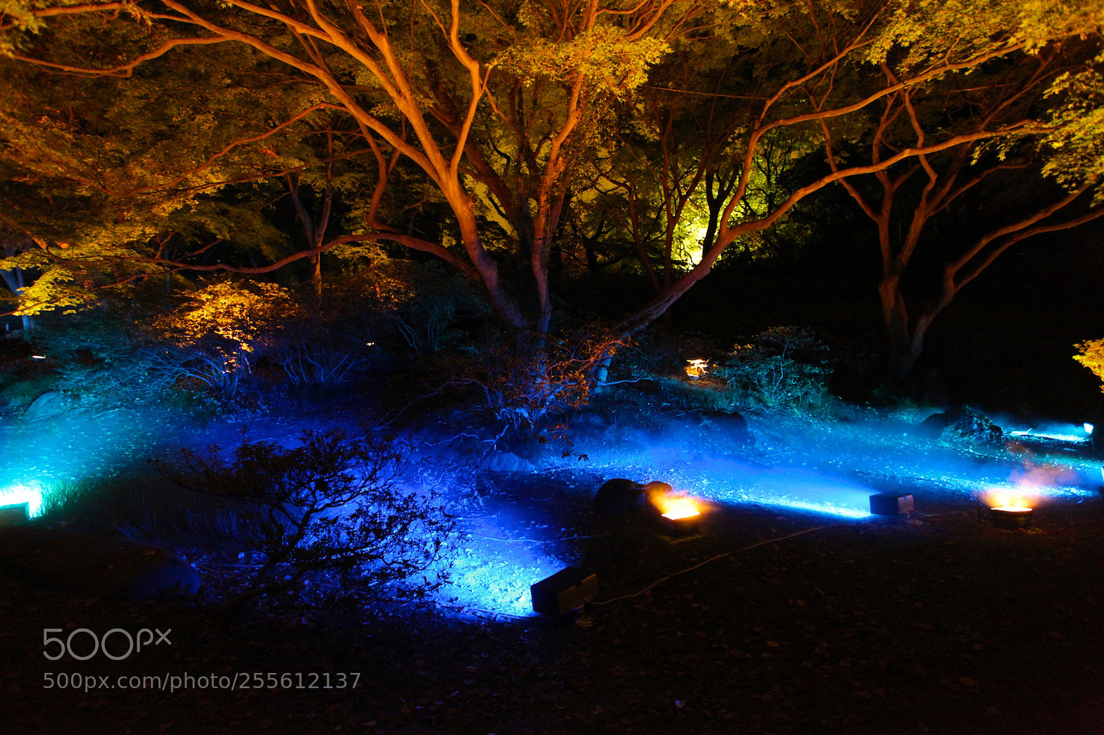 Canon EOS 5D Mark II sample photo. Park photography