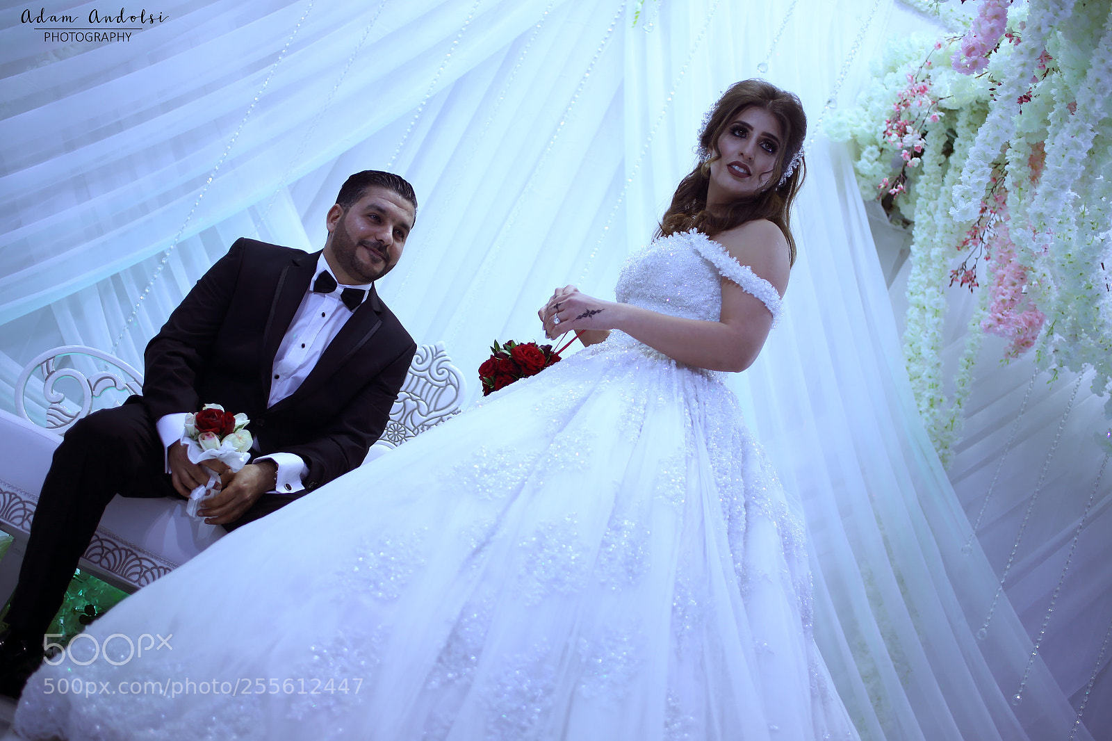 Canon EOS 6D sample photo. Img photography