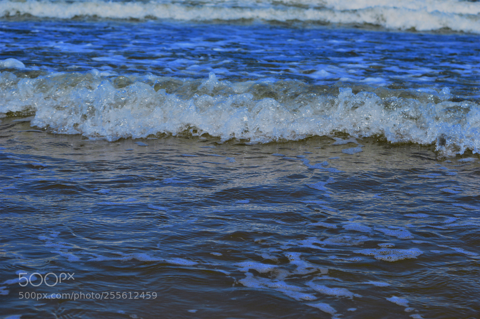 Nikon D3200 sample photo. Untitled photography