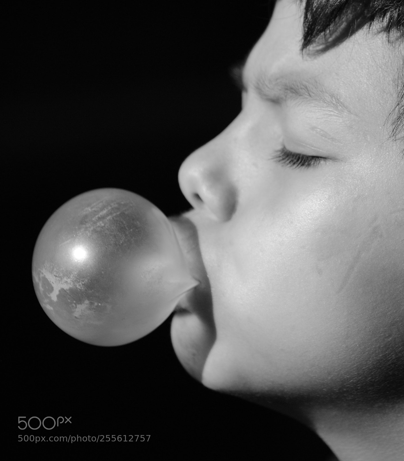 Nikon D3000 sample photo. Untitled photography